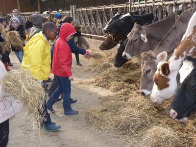 La ferme pédagogique