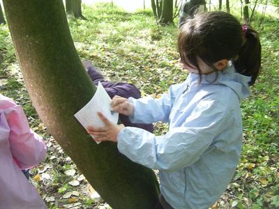 La découverte sensorielle