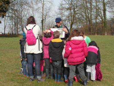 A la rencontre des oiseaux de la région