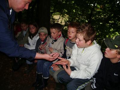 A la rencontre des "petites bêtes"