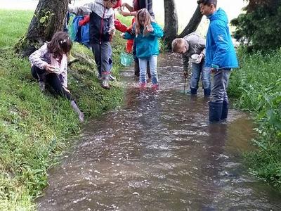 L'étude de la rivière